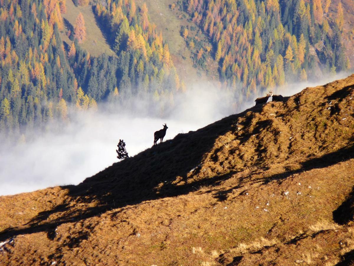 Apart Alpenflair Nauders Dış mekan fotoğraf